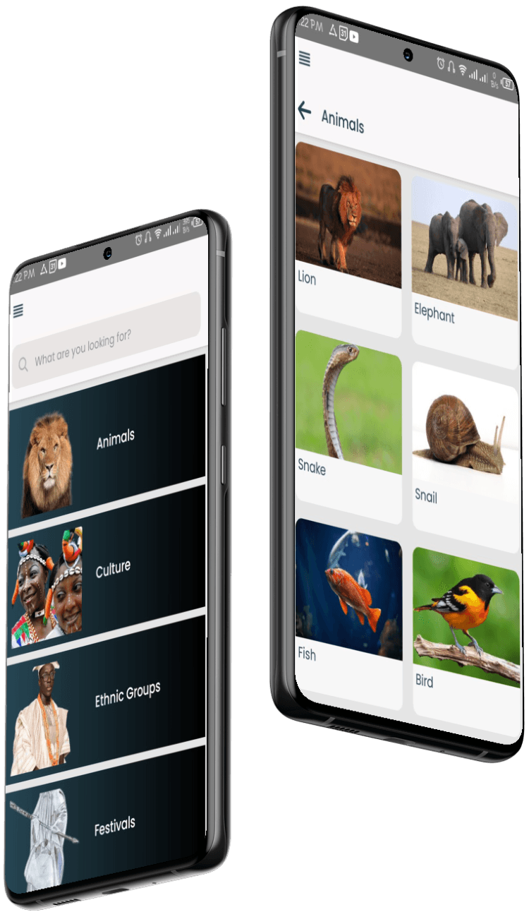 Wazobia App app image